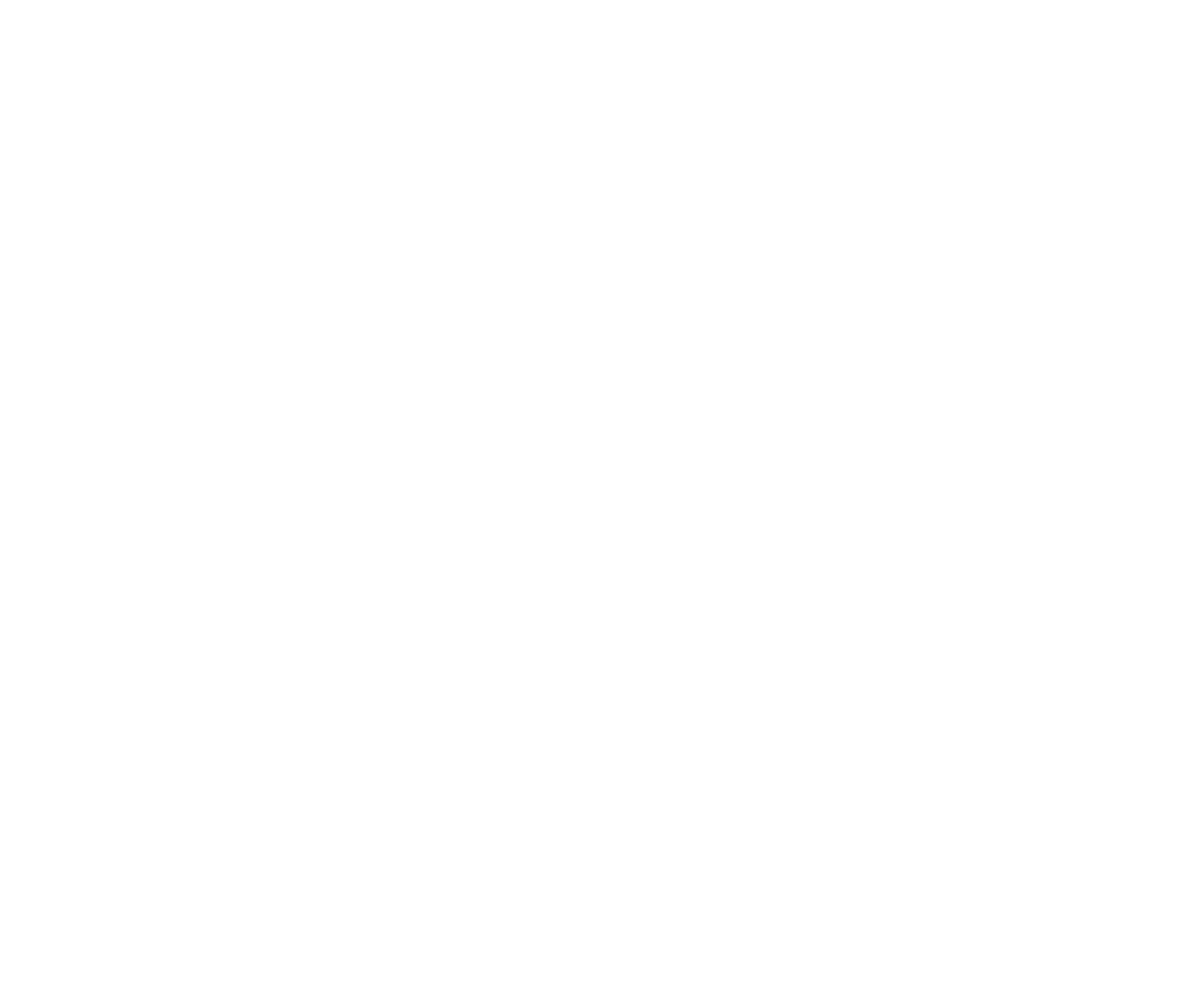 BurgerWarikko Logo